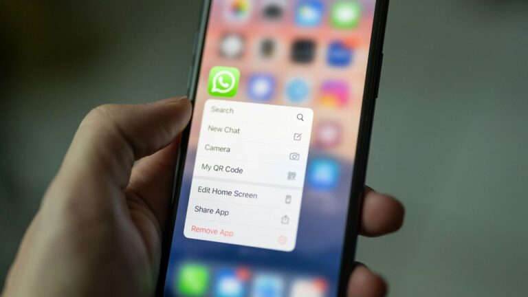 GAFAM appartient WhatsApp