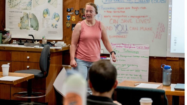 Métiers des langues